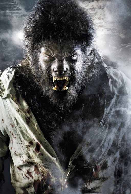 Wolfman
