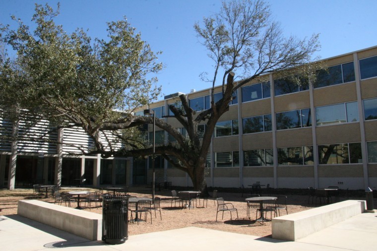 Facilities removed a few limbs from the tree in the Doyle courtyard in February 2011.

