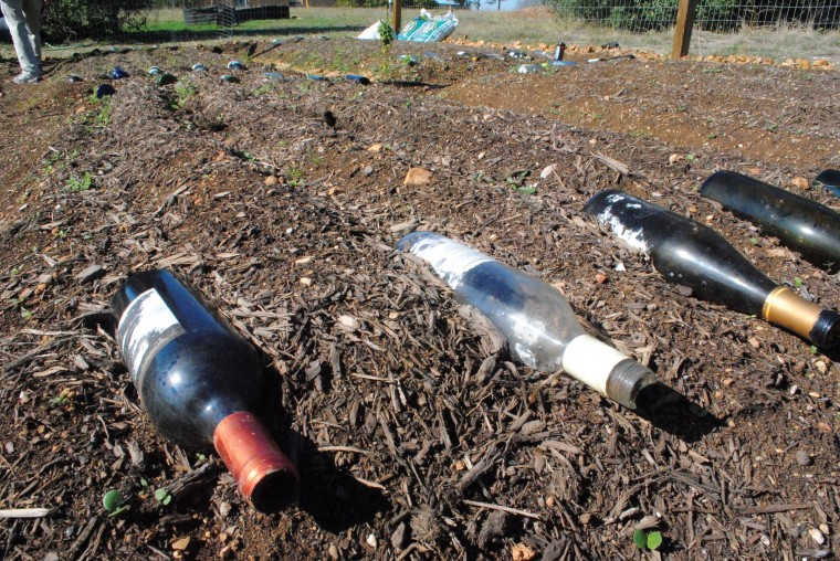 The current campus garden that students can expand on in a design contest is behind Teresa Hall.
