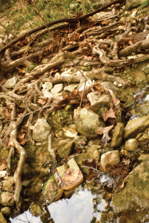 Arellano uses the Wild Basin's landscape as his personal artistic statement.