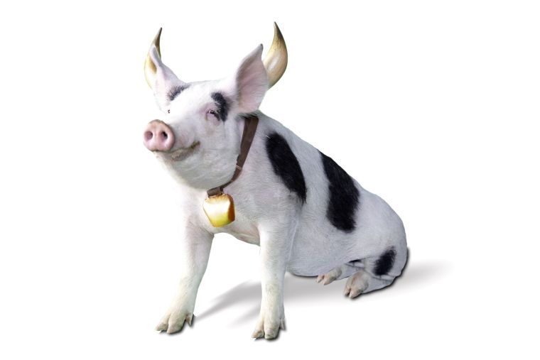 "Bork" is the latest bacon-centered fast food creation.