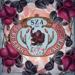 SZAs first album showcases her potential for a unique style. 