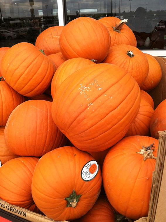 October+begins%2C+everyone+get+ready+for+fall+pumpkin+season