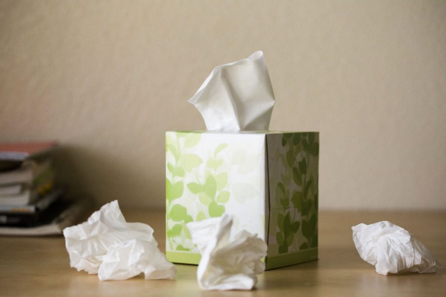 Austinites experience allergies at unprecedented levels