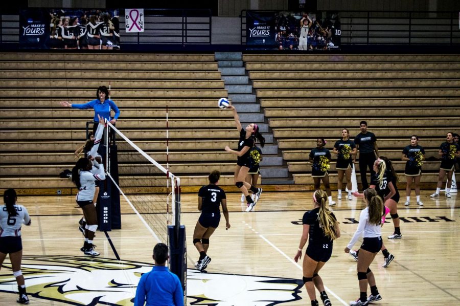 Mid-term review of SEU athletics