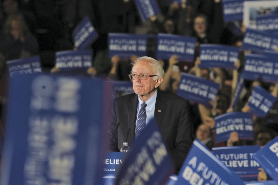 3 Bernie