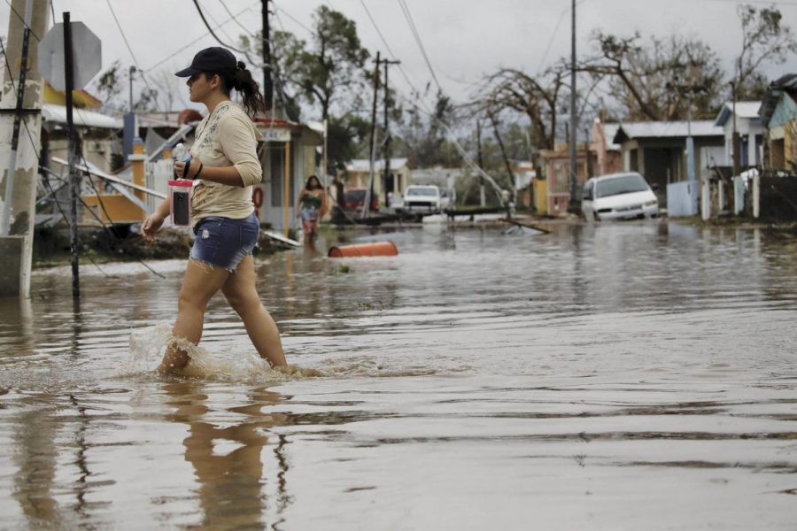 Puerto+Rico