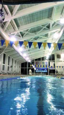 The university's pool in the Rec. Center is open to all students. 