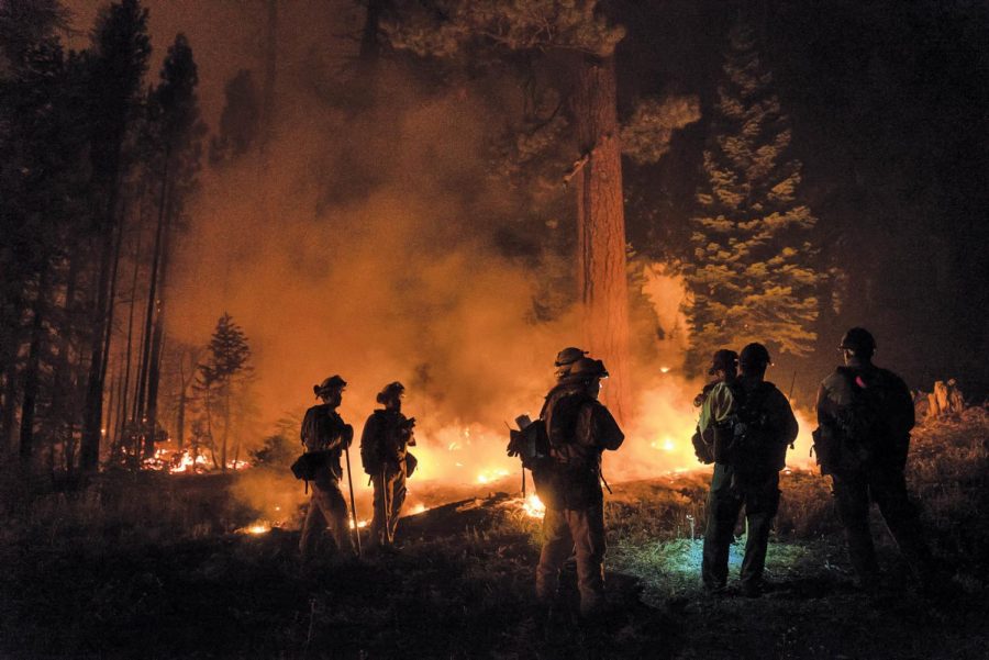 On Aug. 4, a national emergency was declared because of the severity of the wildfires.