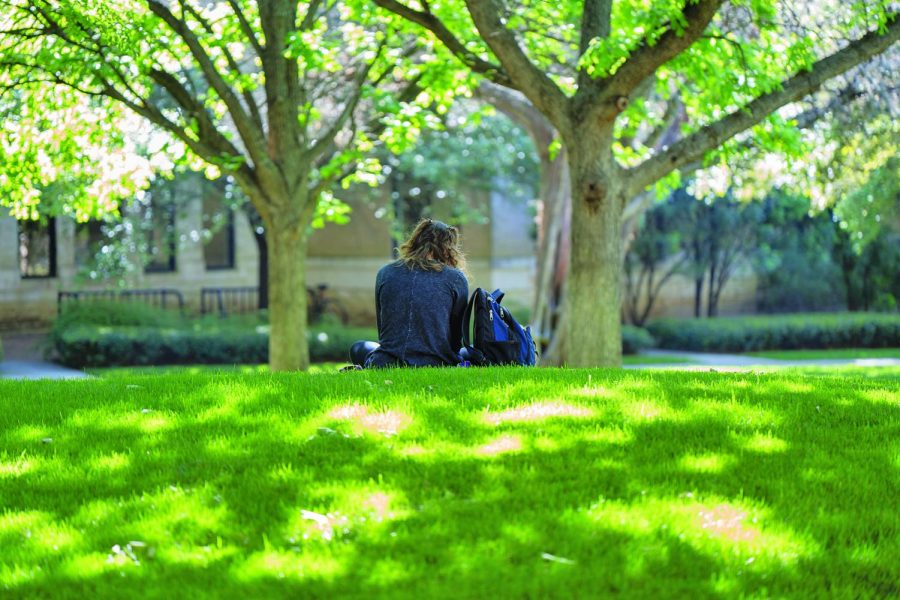 Students search for mental health resources on campus. More than 25 percent of college students have been diagnosed with a mental illness, according to the National Alliance on Mental Illness.