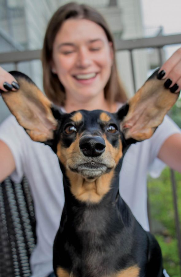 Pets and their humans