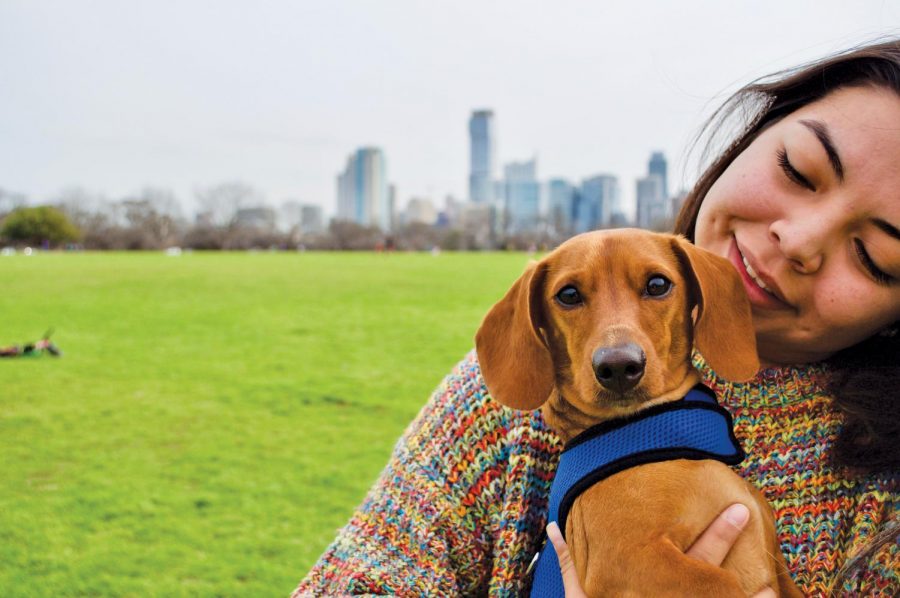 Zilker Bark-0537