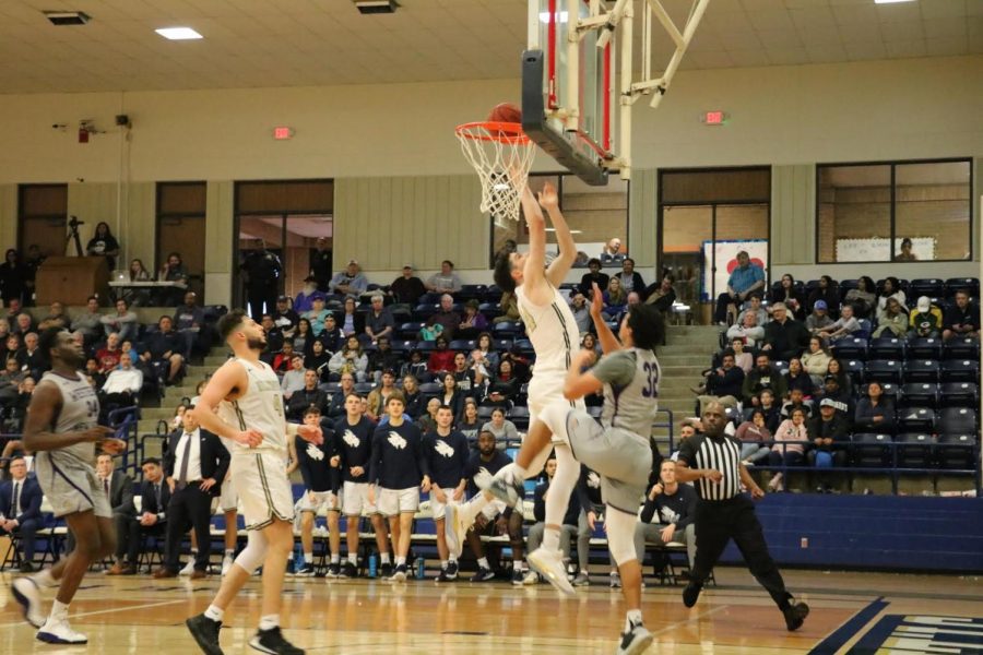 Junior forward Corey Shervill goes up for a contested layup against a Western New Mexico University guard during the annual Homecoming game. Shervill finished the game with 15 points.