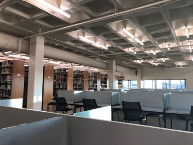 The St. Edward's library has multiple options for students to find peace and quiet. It takes an average of 66 days to form a habit, according to Psychology Today.