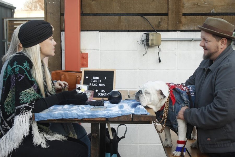 A tarot card reader manages to lull a bulldog to sleep. The Austin Chronicle is published every Thursday and was founded in 1981.