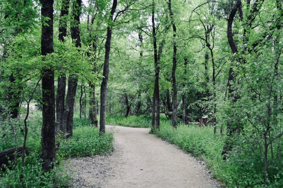 Located off of North Lamar, this trail is about 15 minutes from downtown. This is a great place for mountain biking, hiking or taking your dog for a walk. If that doesn’t sound appealing to you, you and your friends can play a socially distanced game of baseball at one of the many fields available in the park. If you want to feel refreshed after a good hike, keep an eye out for the Kona Ice snow cone truck. 
