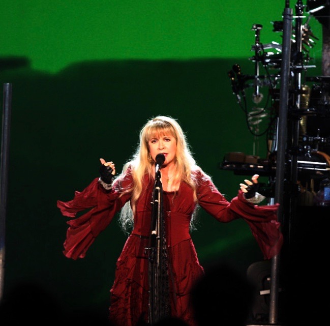 Nicks is best known for being a part of the award-winning band Fleetwood Mac. Her last solo studio album was 24 Karat Gold: Songs from the Vault.