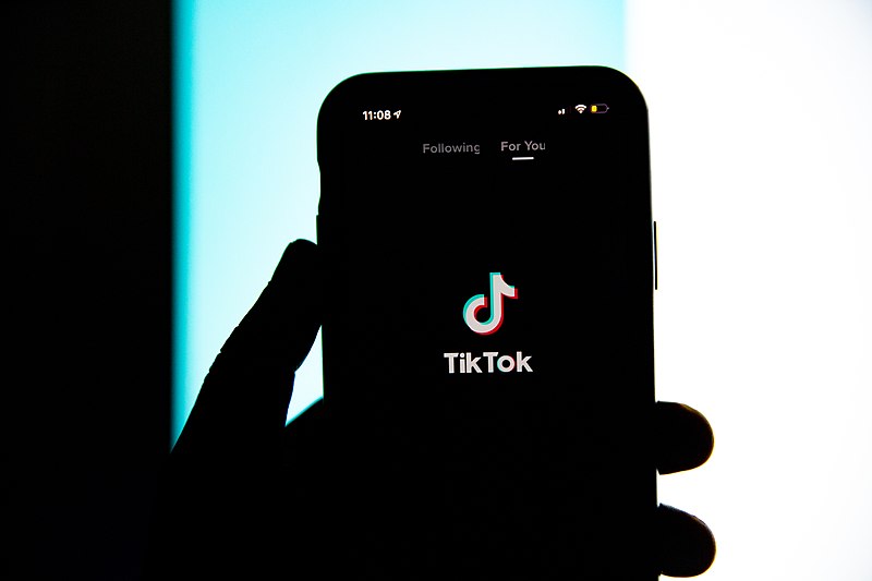 TikTok+was+first+introduced+to+the+United+States+app+store+in+2018.+There+are+currently+500+million+users.