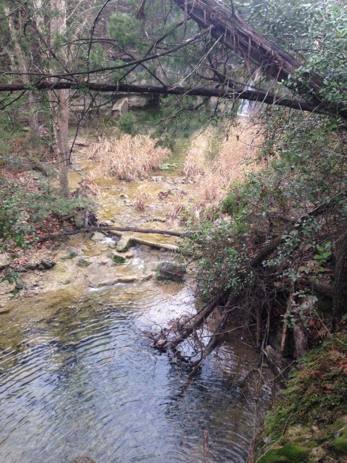 Austin is ranked of the fittest cities in the US, thanks in part of its many hiking trails to explore. Hiking and other recreational activities are popular during the warmer seasons in Austin.