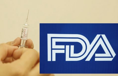 At the beginning of September, the FDA approved the Pfizer-BioNTech vaccine for COVID-19. Since FDA approval, vaccination rates have slowly begun to increase.
