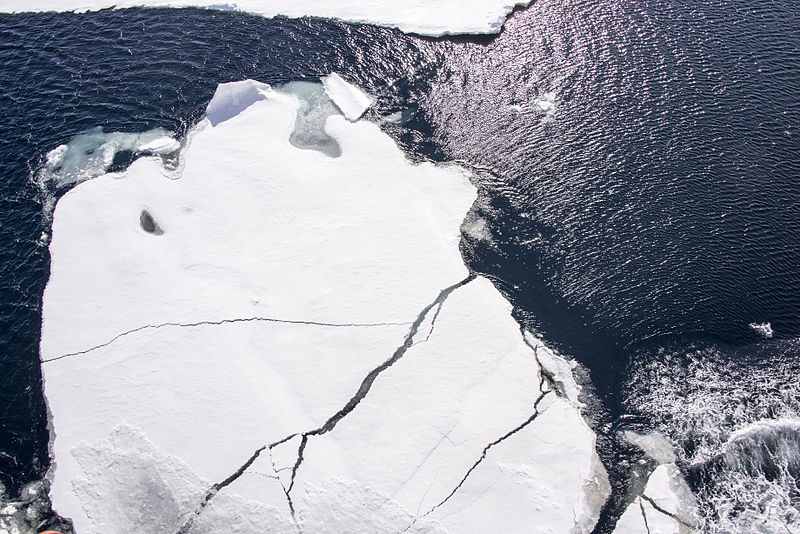 Sea ice reflects 50% to 70% of incoming solar radiation while the dark ocean surface only reflects 6%, so melting sea ice is a self-reinforcing feedback.