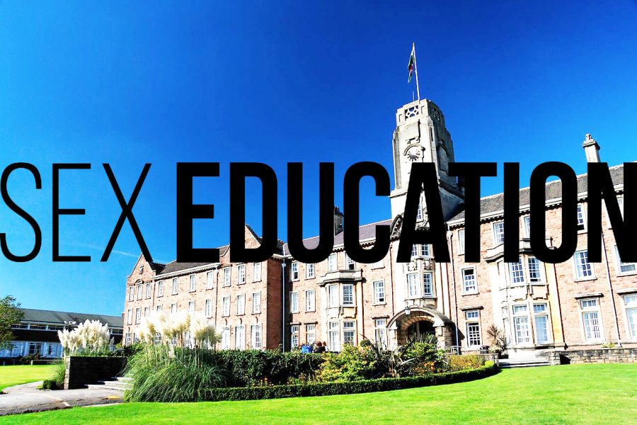'Sex Education,' a Netflix Original tv show was first aired on Jan. 11, 2019 and brings up issues that sex education curriculums in schools need to address. 