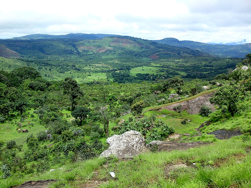 Tensions in Guinea give rise to new junta. A trend of political instability continues. 