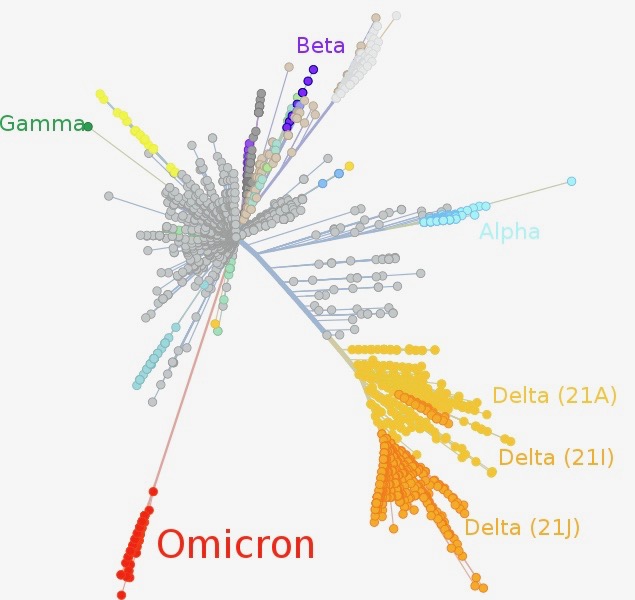 Omicron Is fast moving, but perhaps less severe, early reports suggest. Researchers in South Africa, where the variant is spreading quickly, say it may cause less serious Covid cases than other forms of the virus, but it is unclear whether that will hold true.