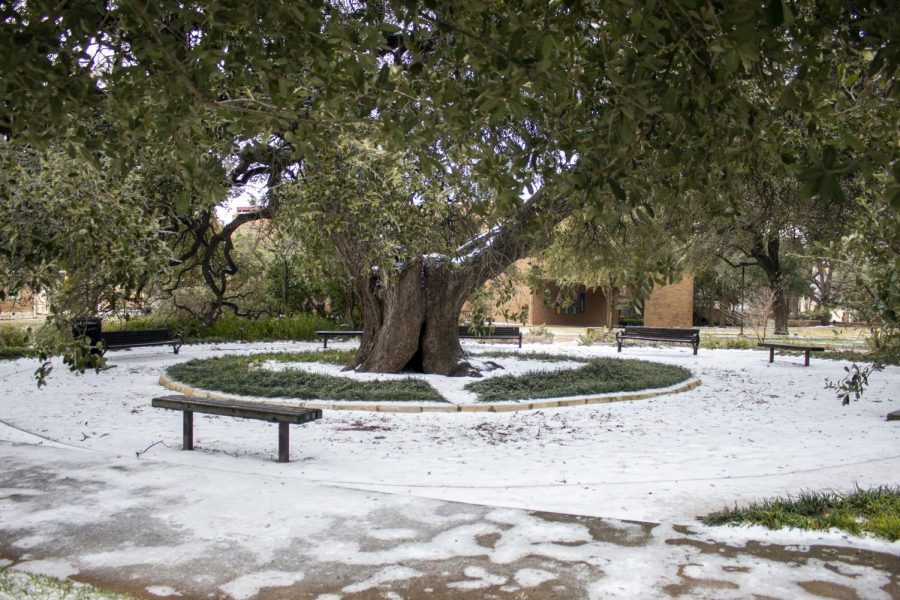 Winter Storm Provides Icy Views on the Hilltop