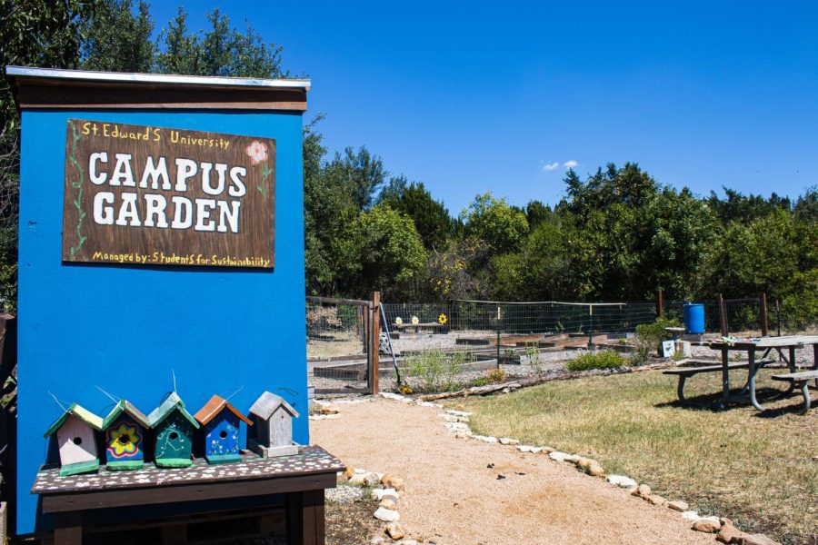 The campus community garden is located behind Teresa Hall and also includes a place for compostable materials to be disposed. The gravel pathway starts at Teresa Halls parking lot. 