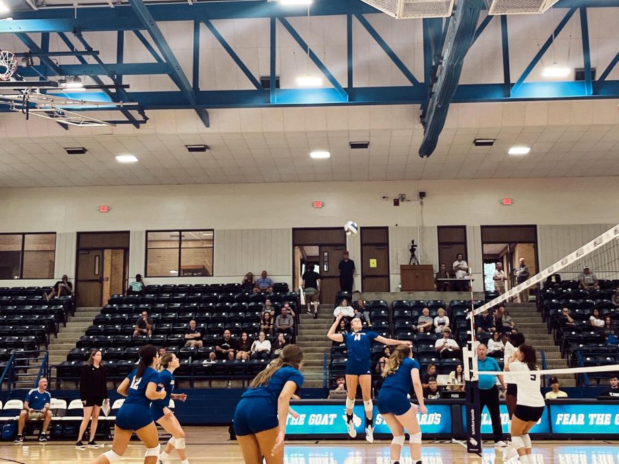 Meghan Stiefer jumps to successfully spike the ball over the net, continuing the rally. 