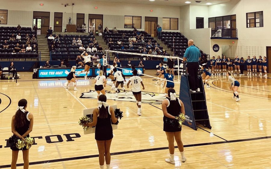 Halle Sanders jumps to spike the ball over the net. Sanders ended the game with nine kills. Kills lead directly to points and occur when the opposition cannot return a player’s attack. 