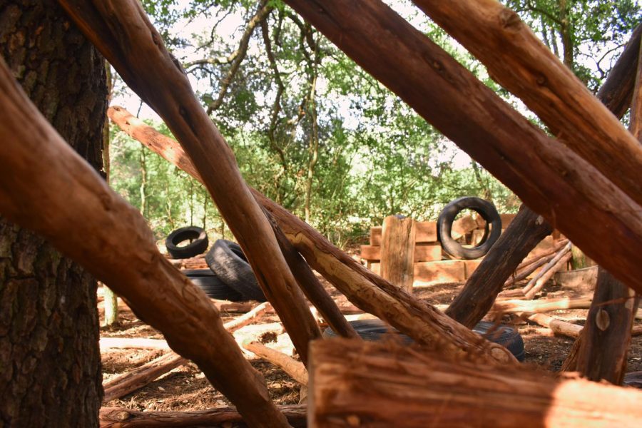 Inside Fort Build, the audience is invited to arrange the sticks and tires to structure their own fort.