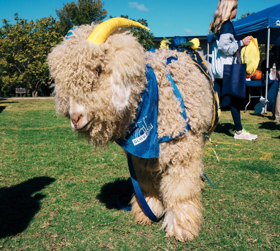 SEU mascot poses for their close-up.