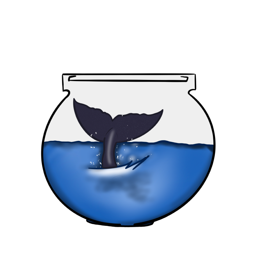 "The Whale" is a pshycological drama that follows a secluded English teacher in his attempts to reconnect with others, including his alienated daughter.