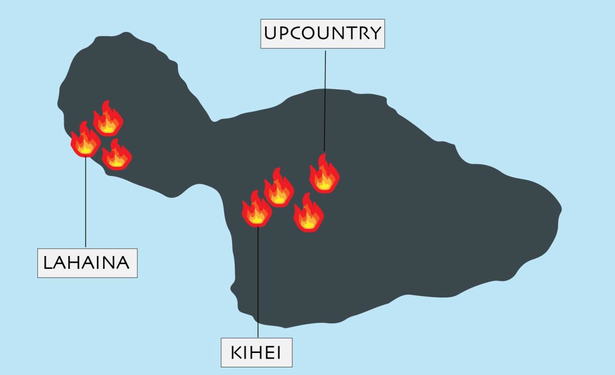 The areas of the island which experienced the worst of the drought were easily affected by the wildfires.