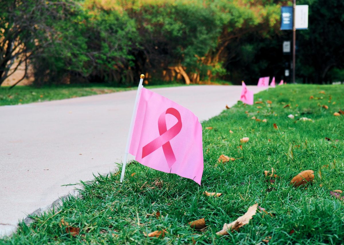 Pink+flags+lined+the+path+for+runners+as+they+made+their+way+throughout+the+campus+grounds+in+honor+of+the+Run+Pink+event.