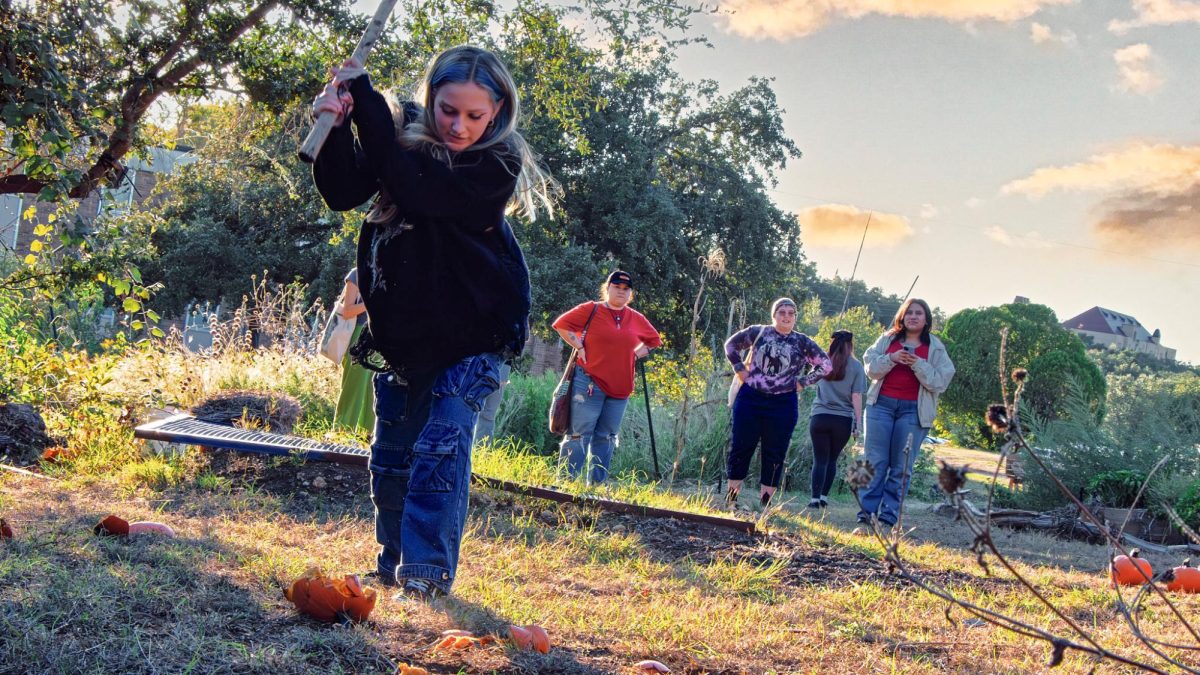 Student attendee bashes pumpkin with tree branch as the sun sets upon the campus. The grounds were covered in the mush and gush of the pumpkins as students relieved stress one smash at a time. 