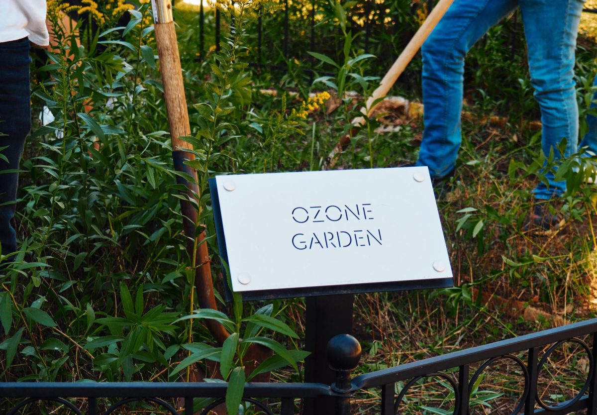 The university's Ozone Garden is located outside in front of Cater Auditorium. This green, mini-sanctuary is home to several plants that are sustained by students on campus.