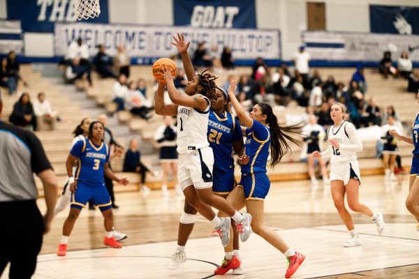 Freshman JP goes up for a lay-up against St Mary’s University. She led the Hilltoppers in points and assists per game this season, averaging 14.6 and 3.5.