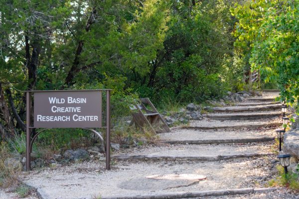 Step into the Wild: First Friday Hikes at Wild Basin