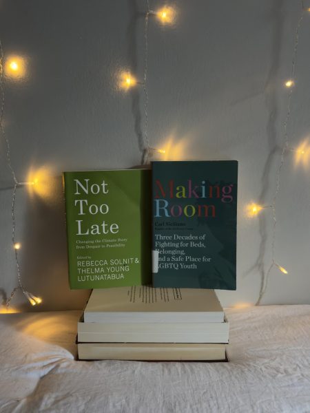 A quiet corner lit with warmth and purpose, this stack of books invites reflection on resilience and radical care. Not Too Late and Making Room both challenge despair—one by reimagining climate narratives, the other by fighting for dignity and shelter for LGBTQ youth. Together, they speak to the power of collective action and the urgency of creating spaces where hope can thrive. This isn’t just a reading nook — it’s a call to build a more compassionate world.