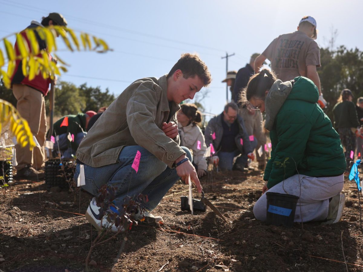 St. Edward’s pioneers environmental conservation method in Central Texas, plants first tiny forest of the area on campus
